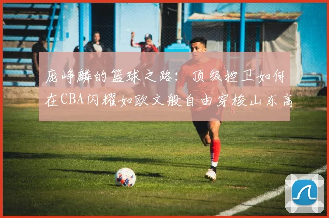 庞峥麟的篮球之路：顶级控卫如何在CBA闪耀如欧文般自由穿梭山东高速