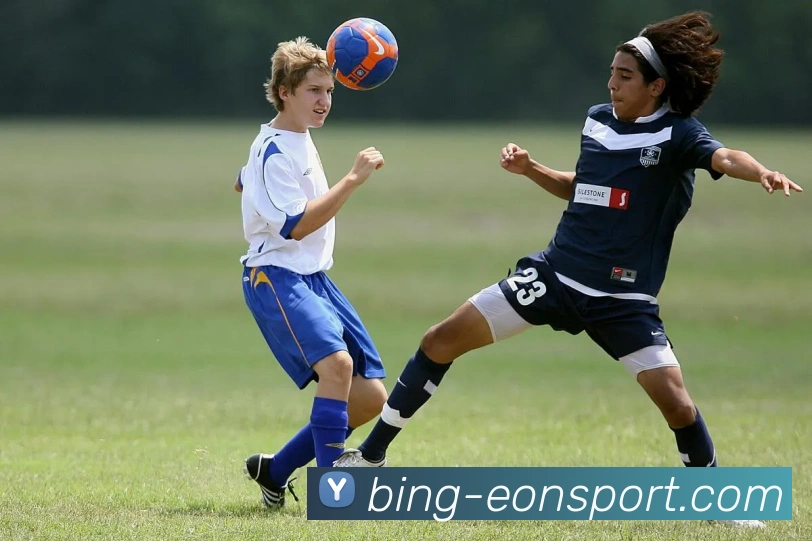 意昂体育平台生态图